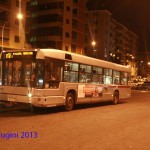 2528_n17collialbani