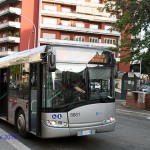 8881_660collialbani